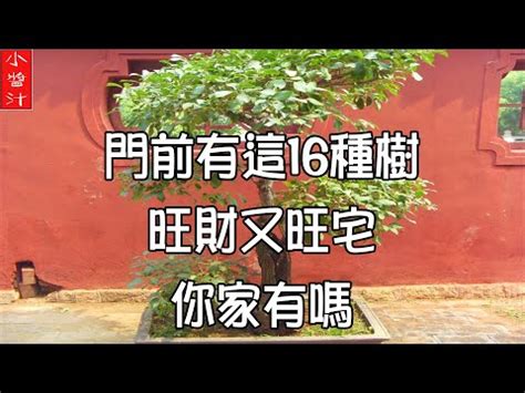 陽樹 種類|陽樹